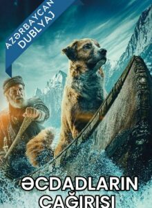 Əcdadların Çağırışı / The Call of the Wild Azərbaycanca Dublaj izle izle