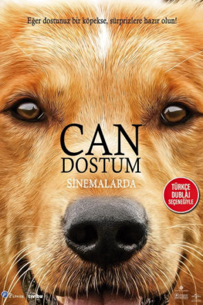 Can Dostum / A Dog’s Purpose HD Film izle
