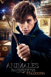 Fantastic Beasts [Fantastik Canavarlar Serisi] Serisi izle