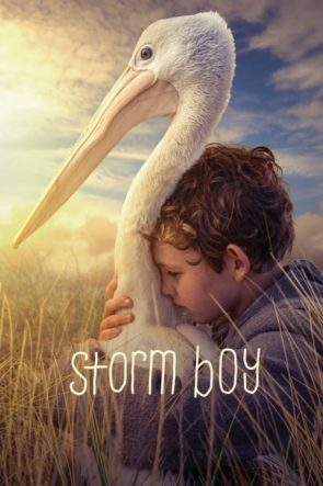 Fırtına Çocuk / Storm Boy (2019) HD izle