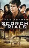 Maze Runner: The Scorch Trials izle