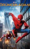 Örümcek-Adam: Eve Dönüş / Spider-Man: Homecoming izle
