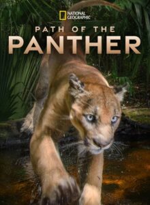 Path of the Panther (2022) HD izle izle
