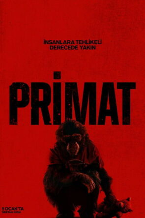 Primat (2026) Filmi HD izle