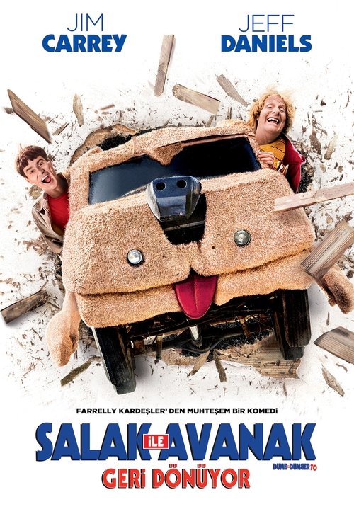 Salak ile Avanak Geri Dönüyor (Dumb and Dumber To) 2014 HD izle izle