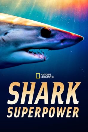 Shark Superpower (2022) Türkçe Dublaj HD izle
