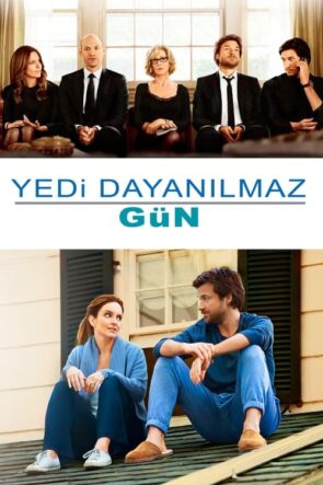 Yedi Dayanılmaz Gün (This Is Where I Leave You) 2014 HD izle