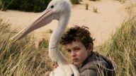 Fırtına Çocuk / Storm Boy (2019) HD izle izle
