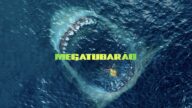 Meg: Derinlerdeki Dehşet (The Meg) 2018 HD izle izle